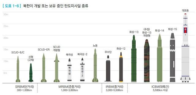 북한 미사일.jpg