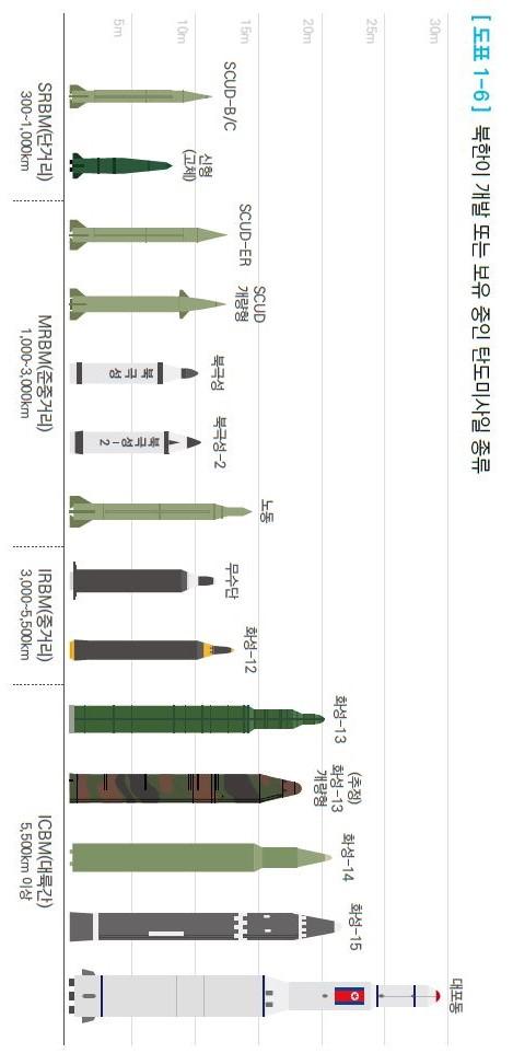 북한 미사일보유.jpg