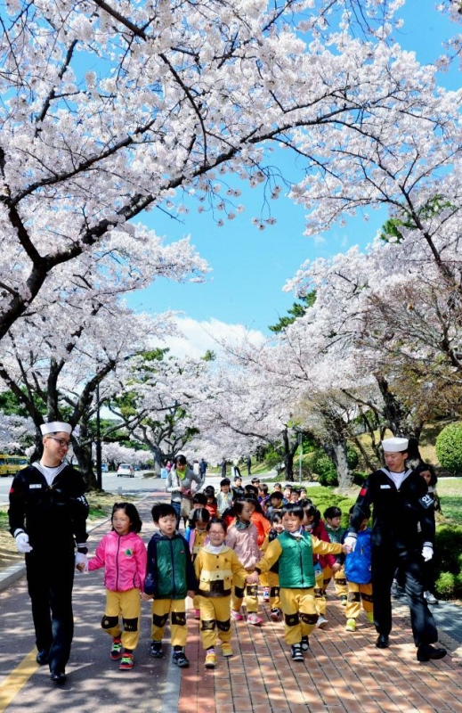 진해군항제.jpg