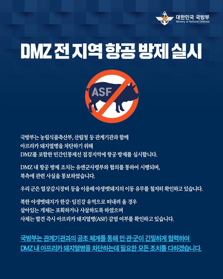 dmz.jpg