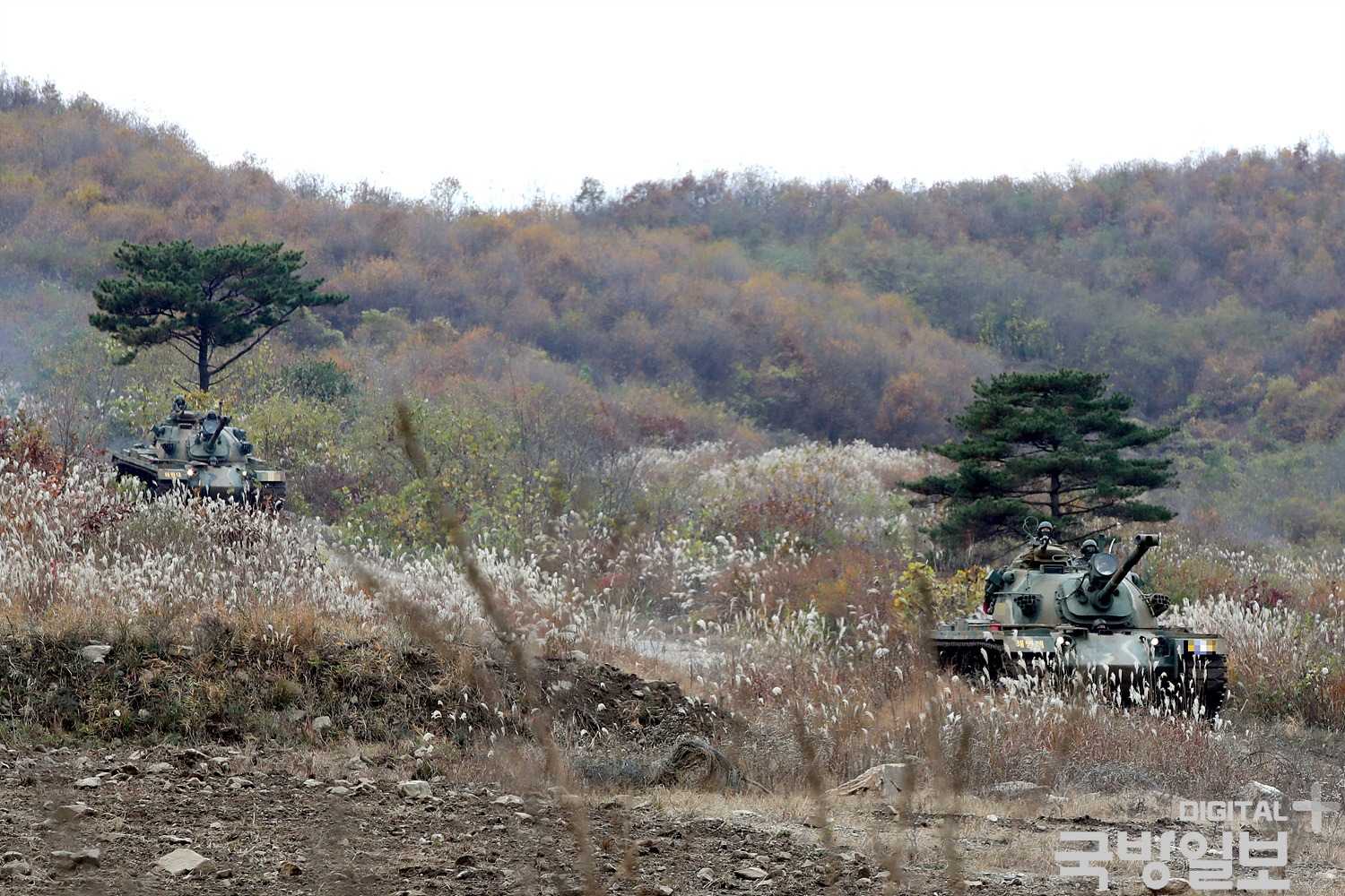 해병대2사단 전차대대 후반기 전차포 사격훈련 8.jpg