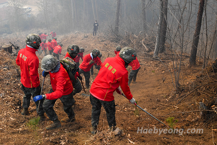 해병대 신속기동부대 울진 산불 진화 작전 _112156154_07.jpg