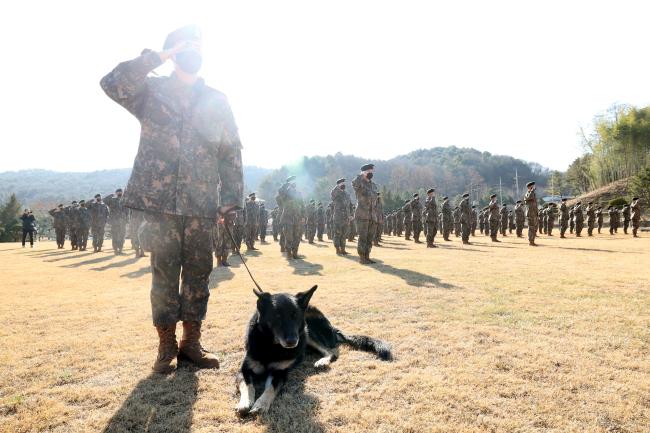 군견 달관 2.jpg