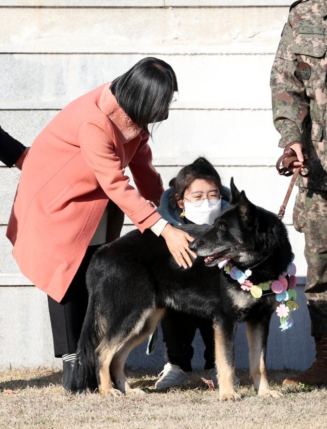 군견 달관 4.jpg