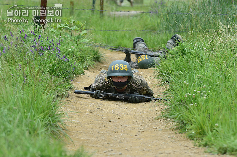 신병 1269기 1교육대 극기주 각개전투_8498.jpg