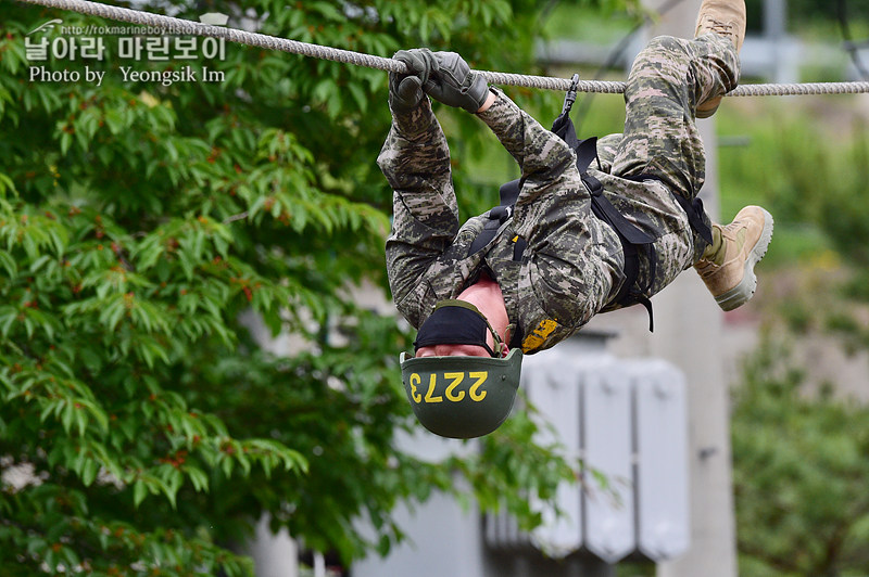 신병 1269기 2교육대 극기주 유격기초_8871.jpg