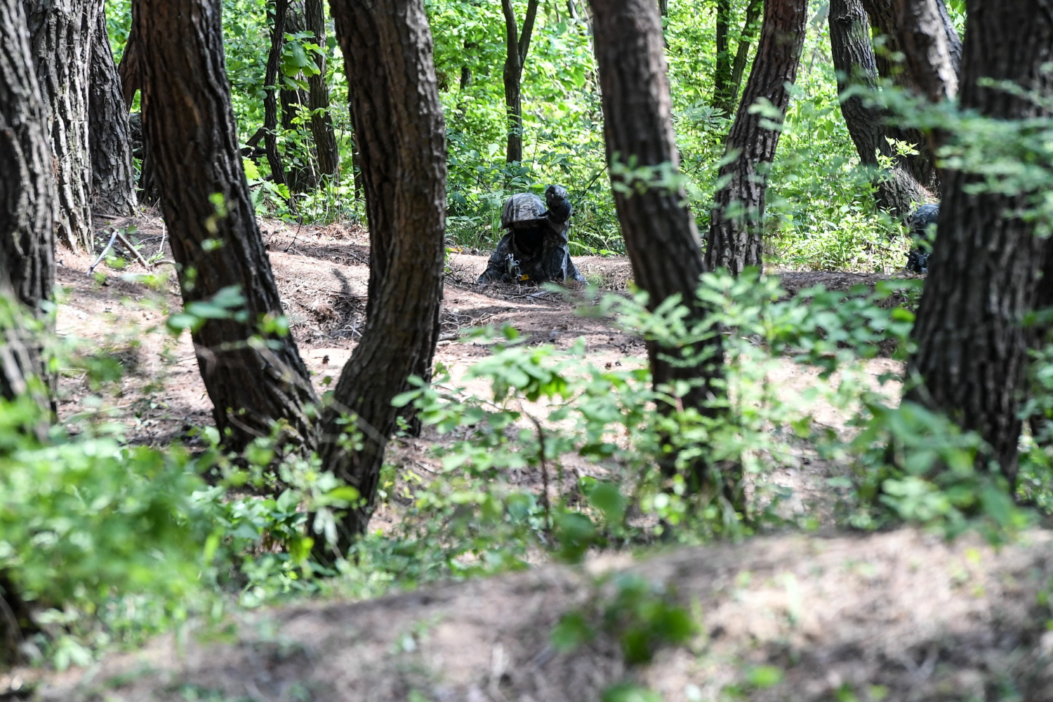 DSC_5849.jpg