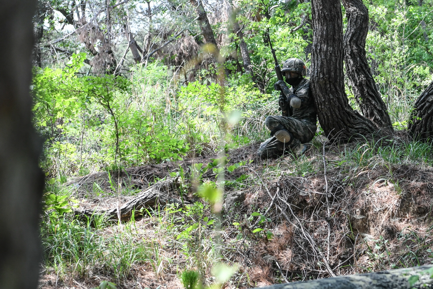DSC_1661.jpg