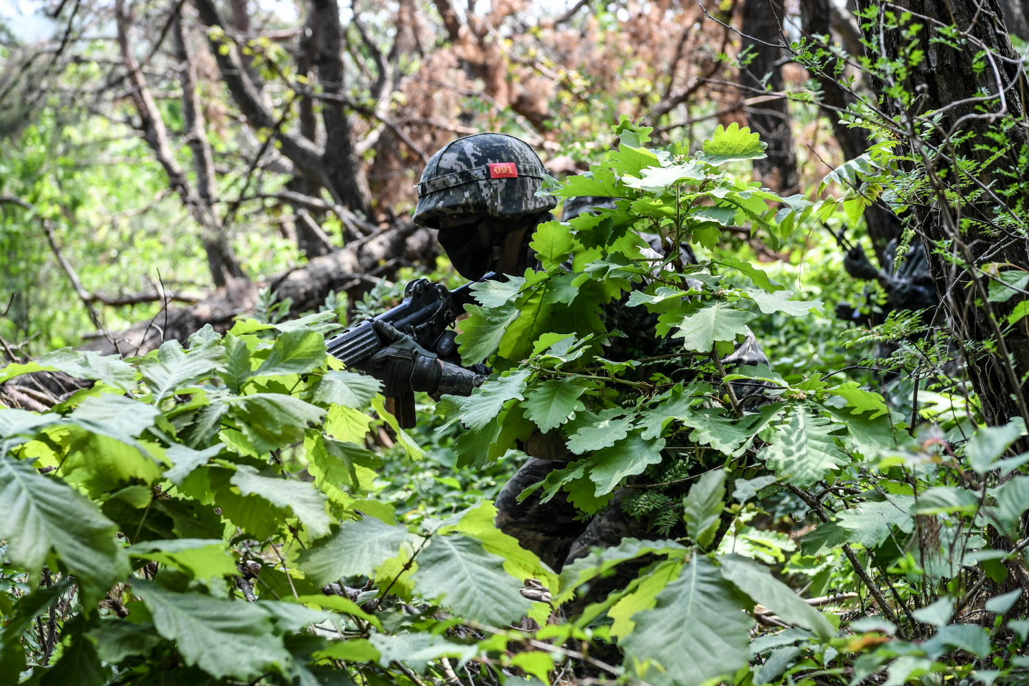 DSC_1630.jpg