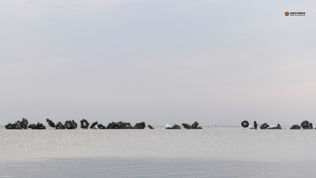 해병대, 2025년 호국합동상륙훈련 실시 4.jpg