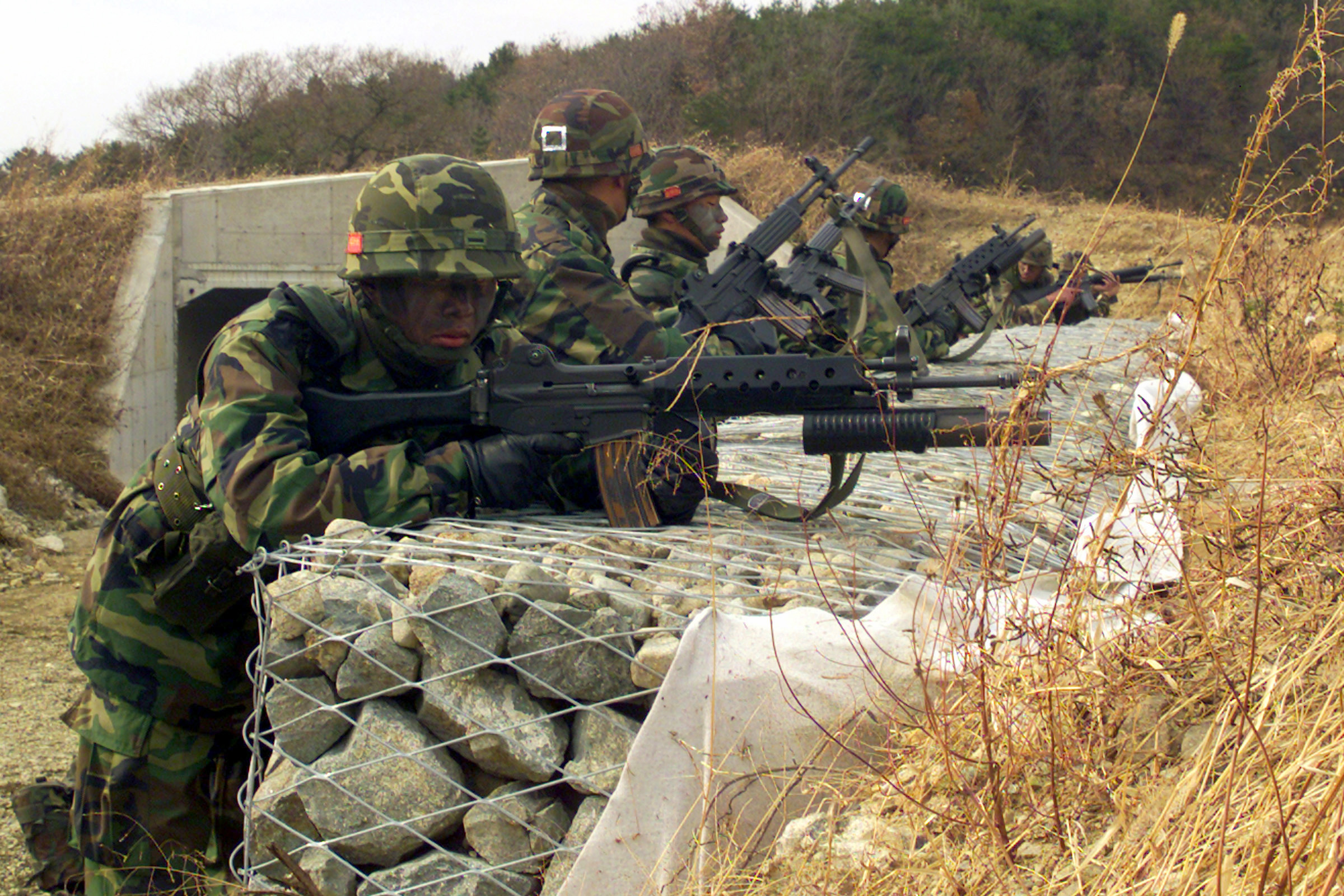 ROK_marines_with_K2_rifles_DM-SD-03-14422.jpg