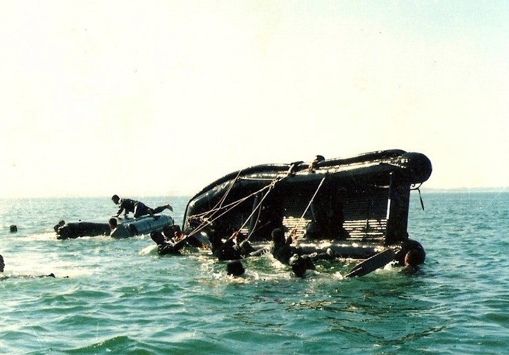 ibs-01.jpg