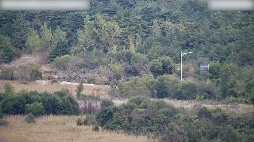 합참 2.gif