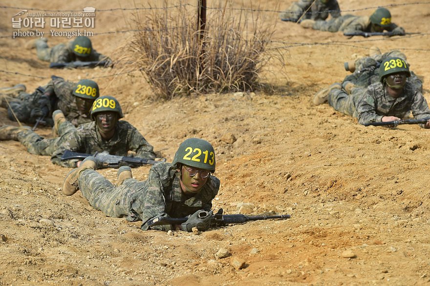신병1315기_2교육대_각개전투_0219.jpg